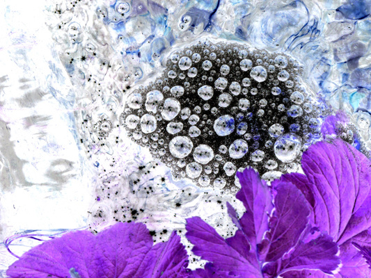bubble-bubble 