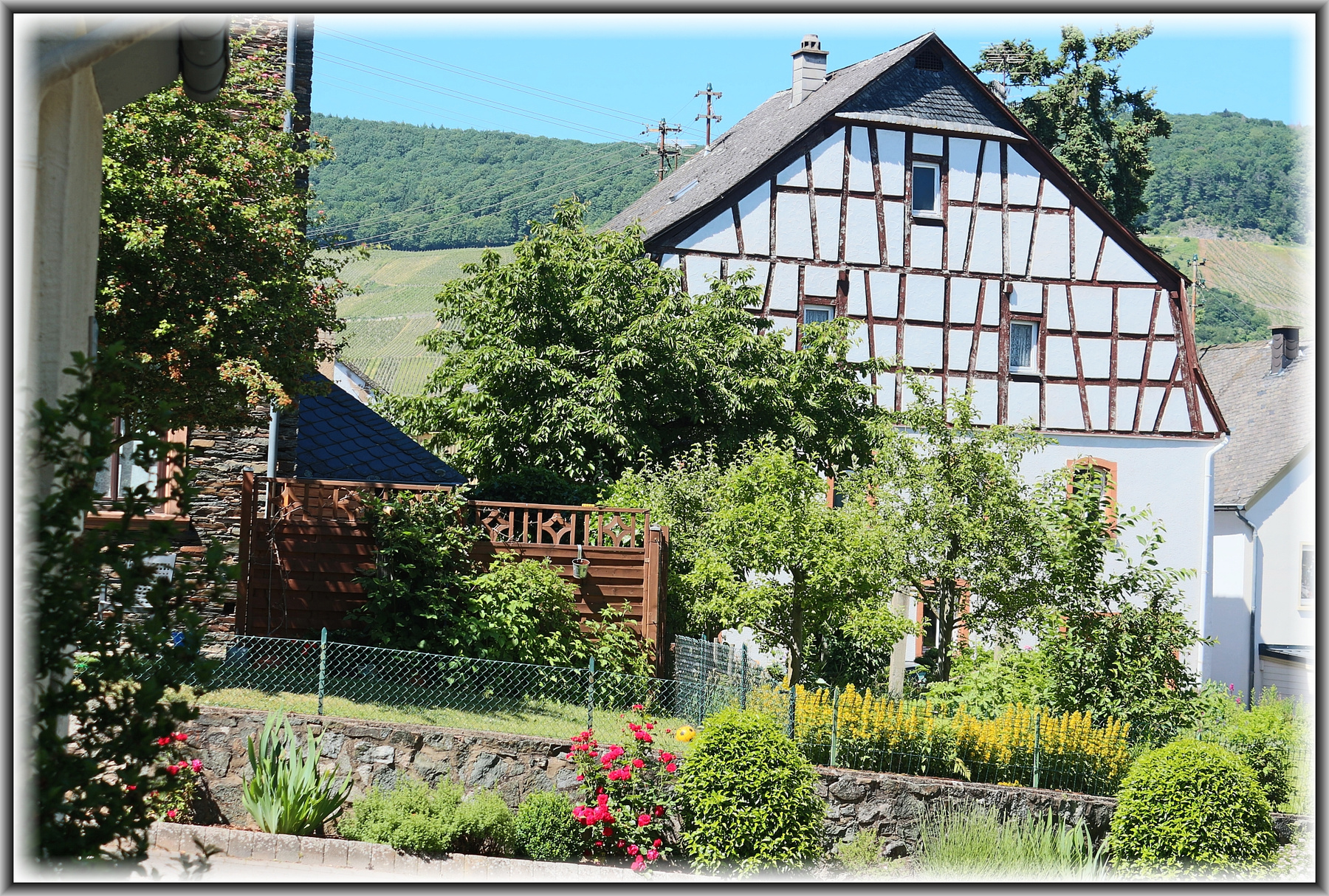 *** Germany nature town