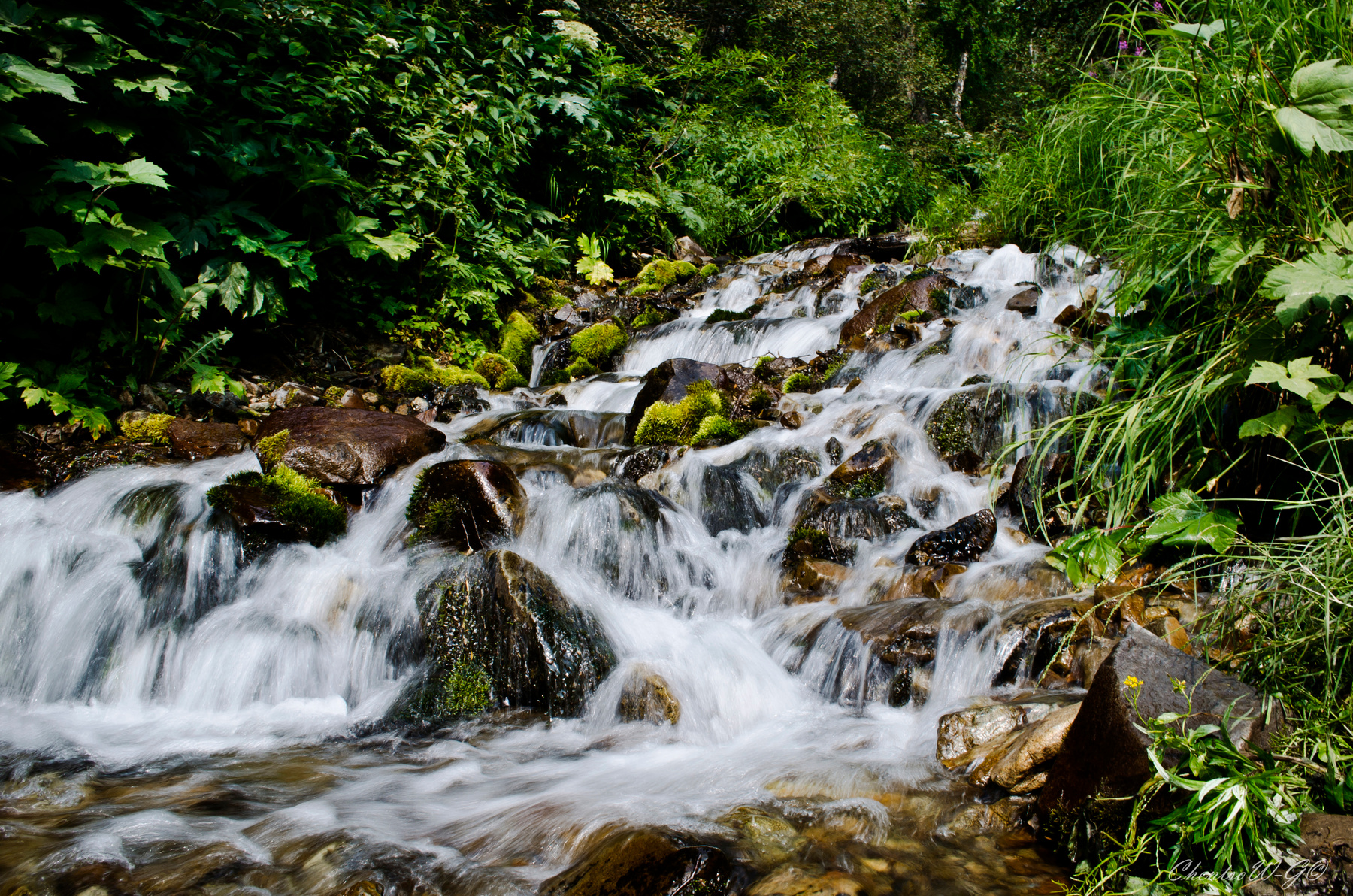 Ручей Заячий камчатка,ручей,природа,путешествие,водопад,вода
