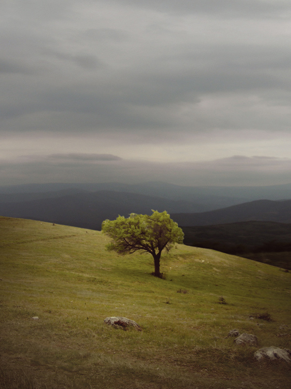 Alone 