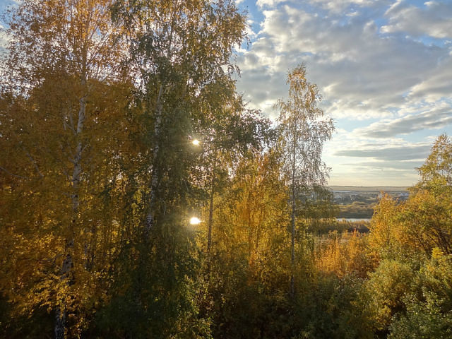 Закат у реки за лесом закат река лес