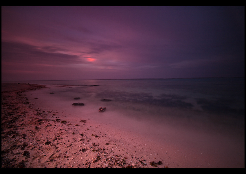 Pink coast розовый берег 