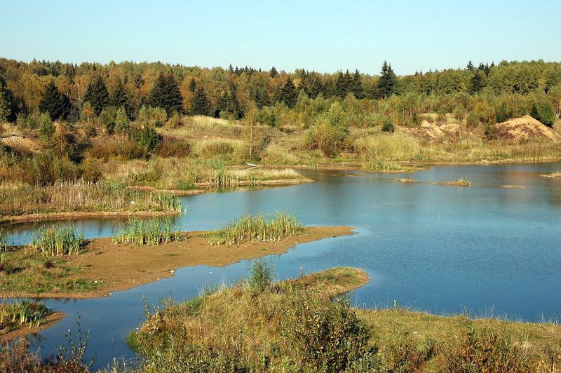 осень пруд осенний небо
