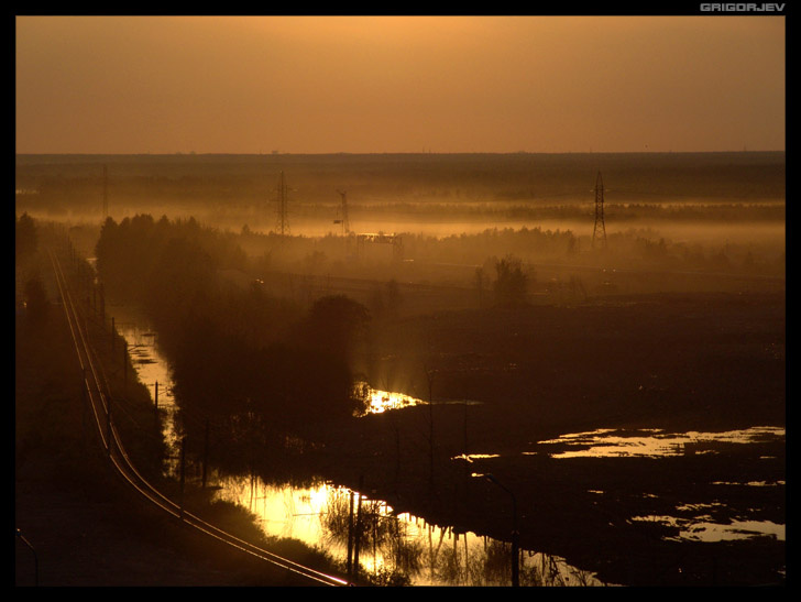 Golden light 