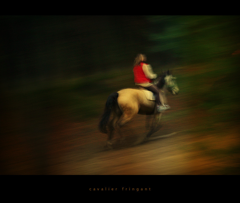 cavalier fringant 