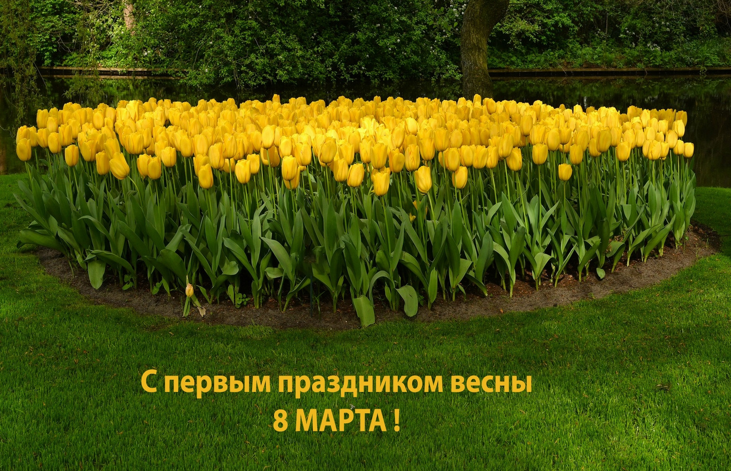 С первым праздником весны,дорогие фотографини! 