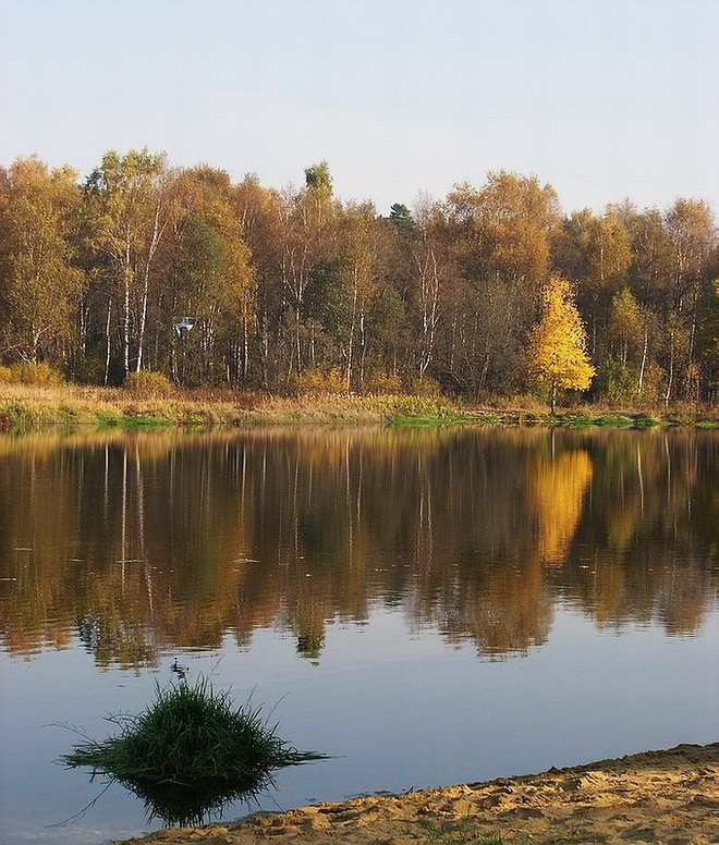 перекличка вода осень