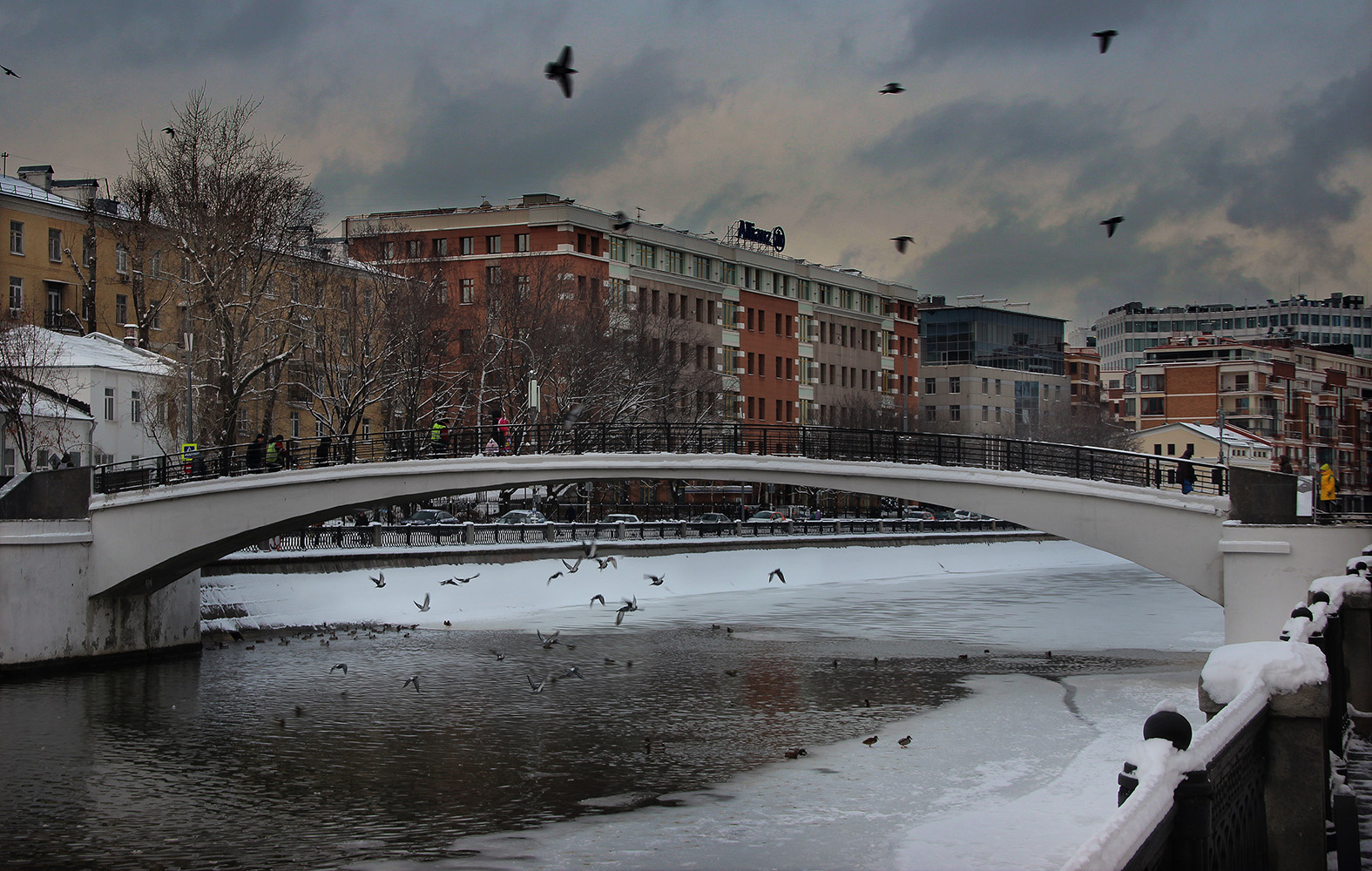 Москва. Зверев мост и птицы 