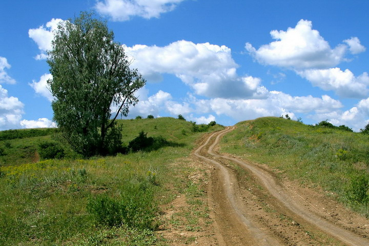 Дорога в Небо! Дорога в небо.