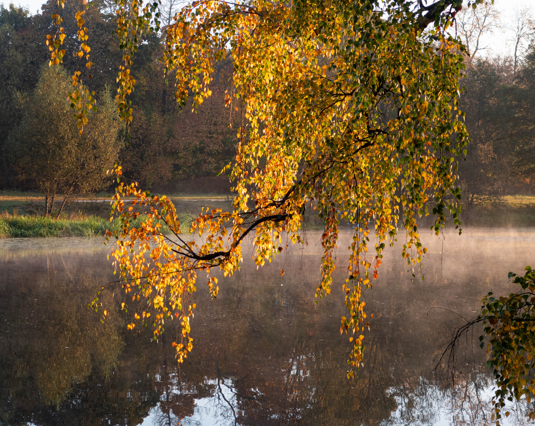 *** осень природа