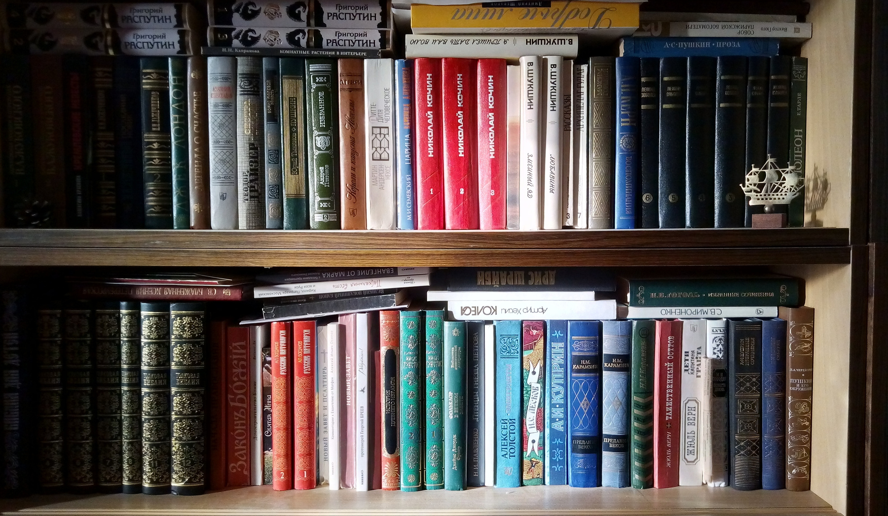 Верные друзья книги корешки книг солнечный свет полки книжные
