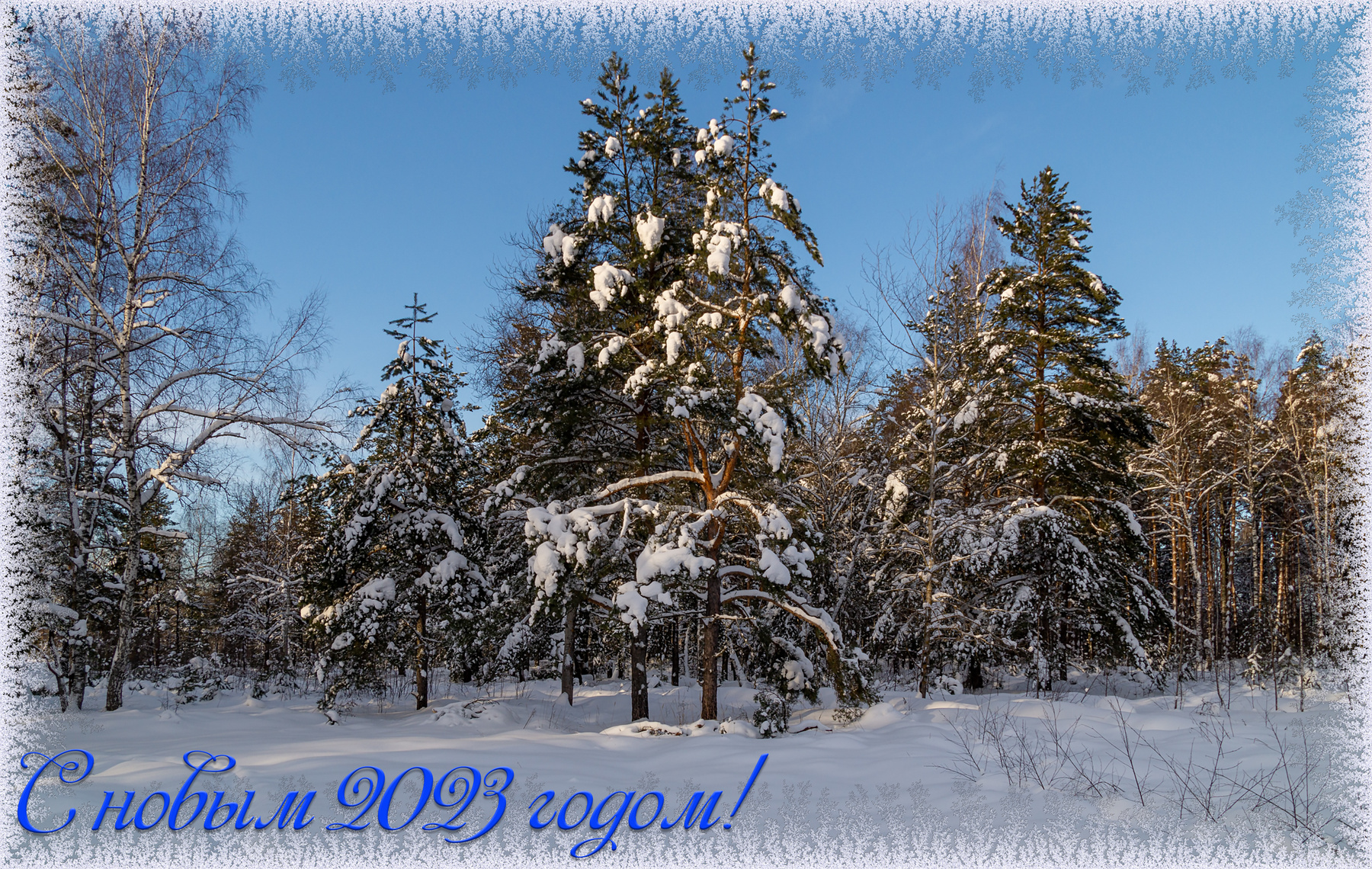 С новым годом! 