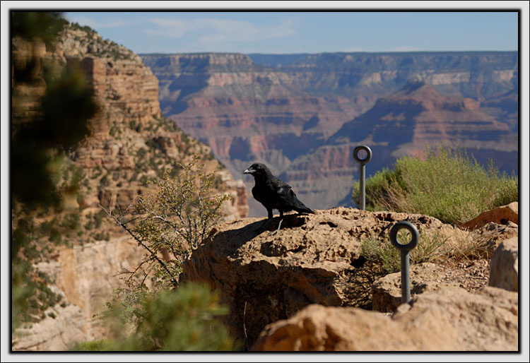 Ты куда сбежал, Прометей? USA. Grand Canyon.