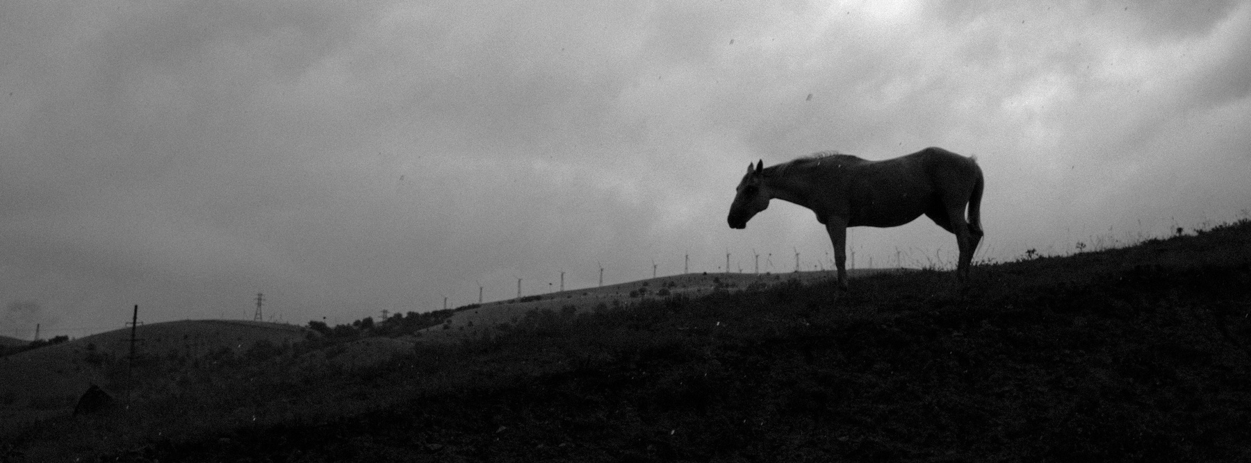 BW1 