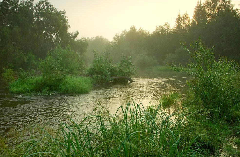 Утро на Черной речке v.2 Утро река вода