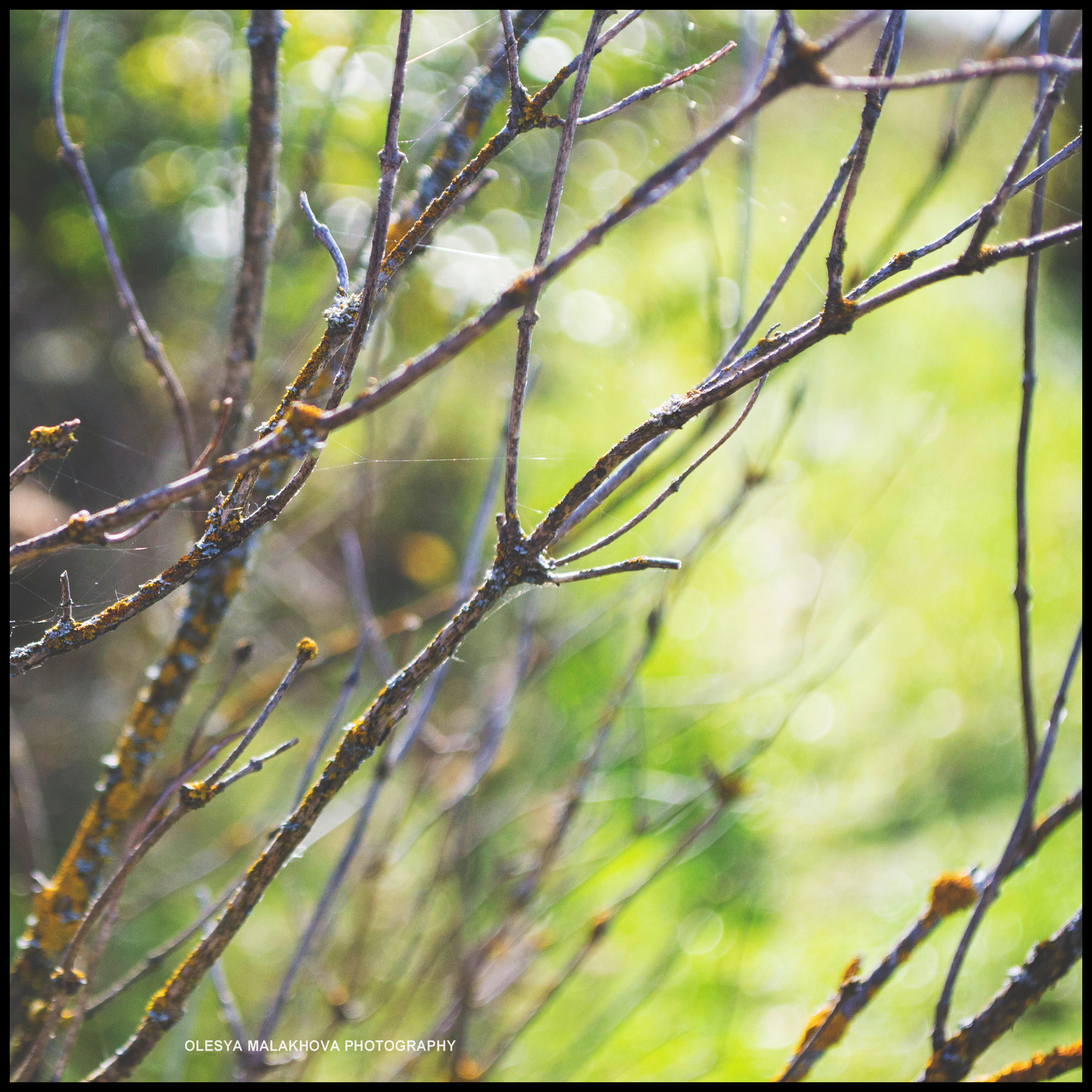 September 2012 Autumn, Осень, природа