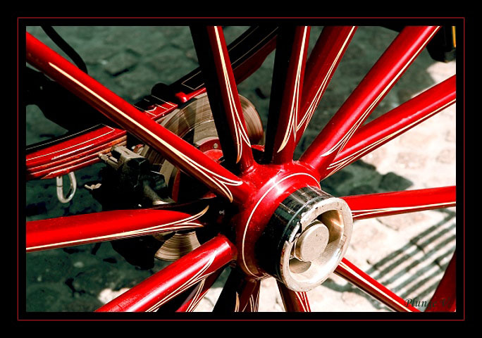 Holland... wheel... 