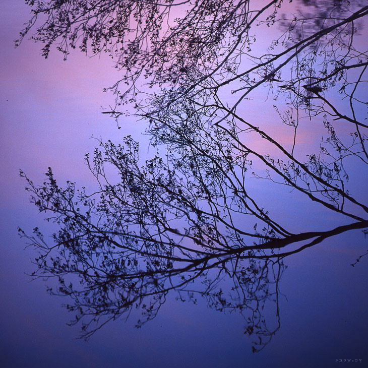 .purple sunset пентакон, соннар