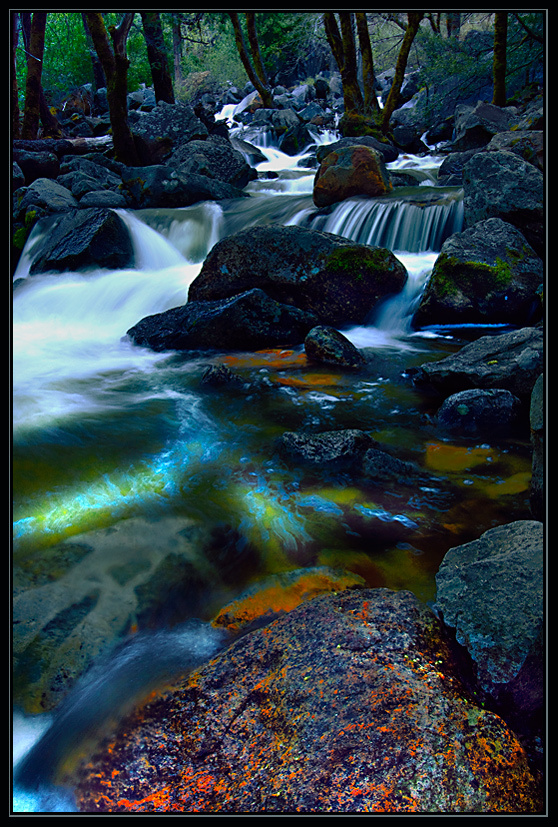 Yosemite California. USA. 