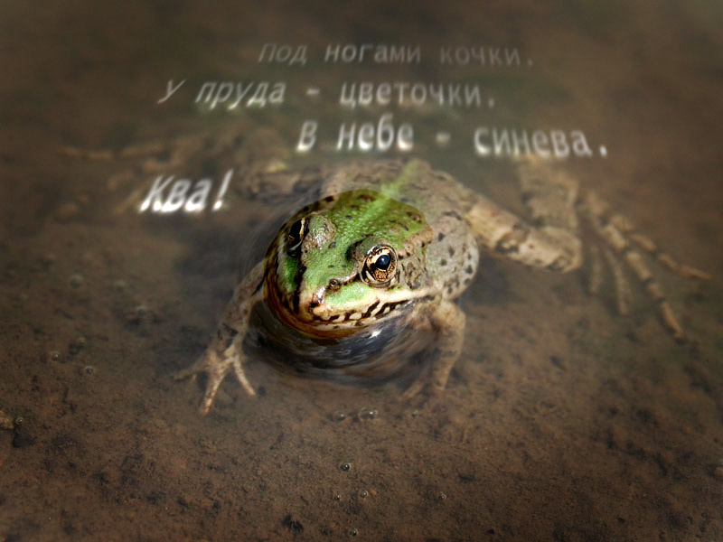 лгшк 