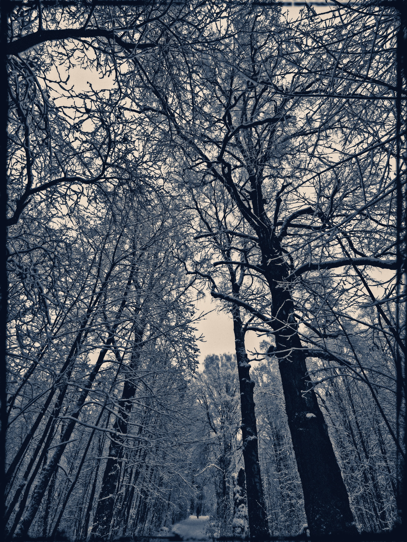 Вдали 