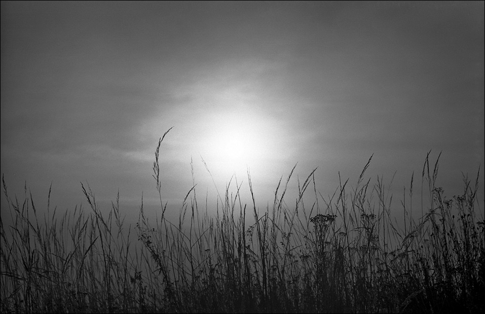sun солнце небо трава