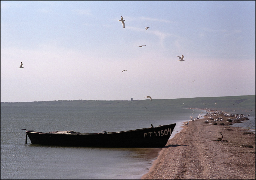 Покой море берег лодка чайки