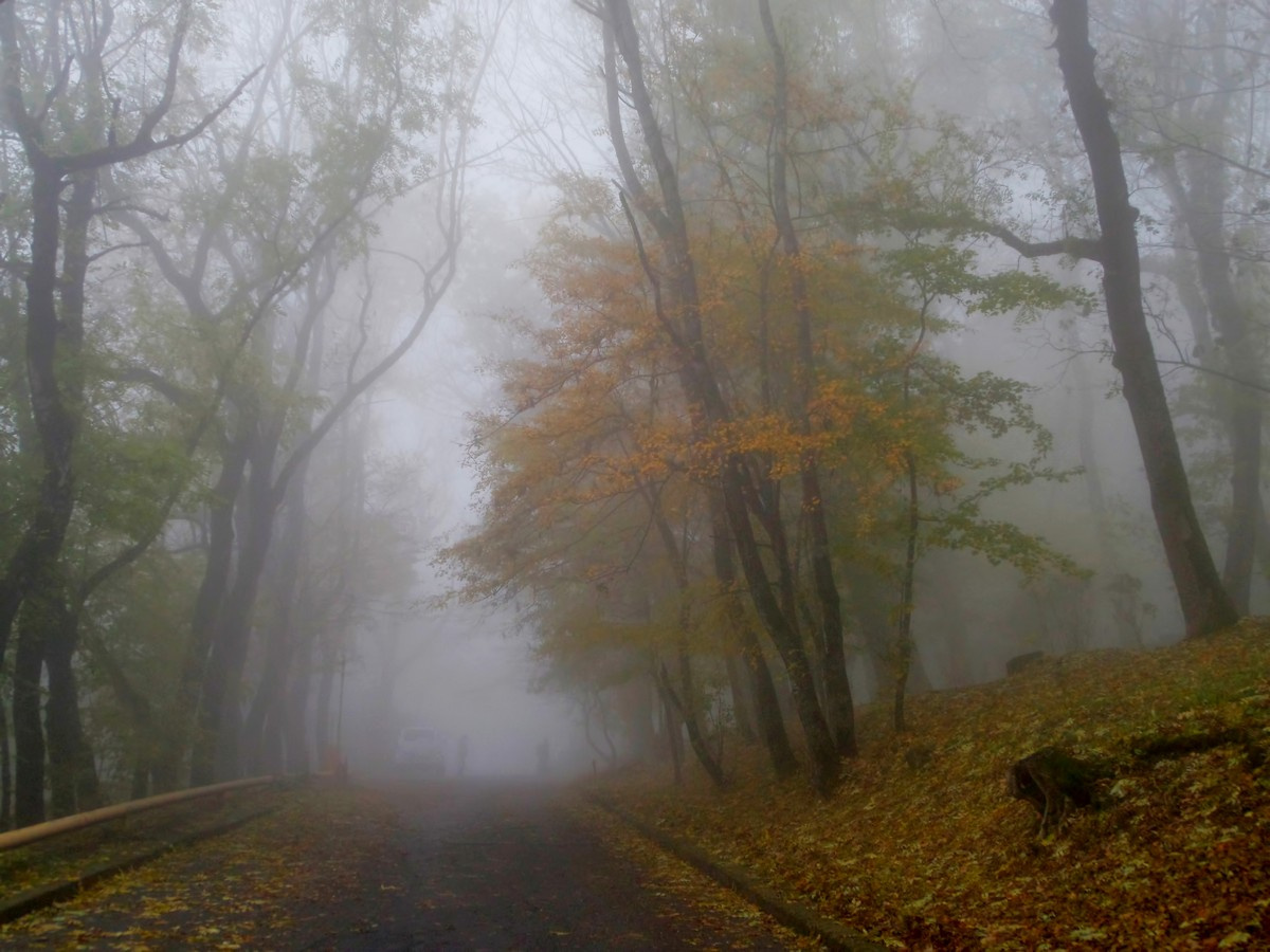 В парке осеннем...... 