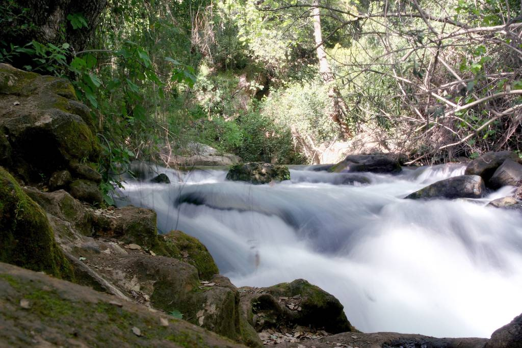 Banias Israel, Banias