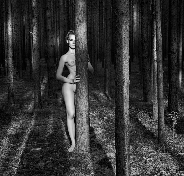 ~dryad 