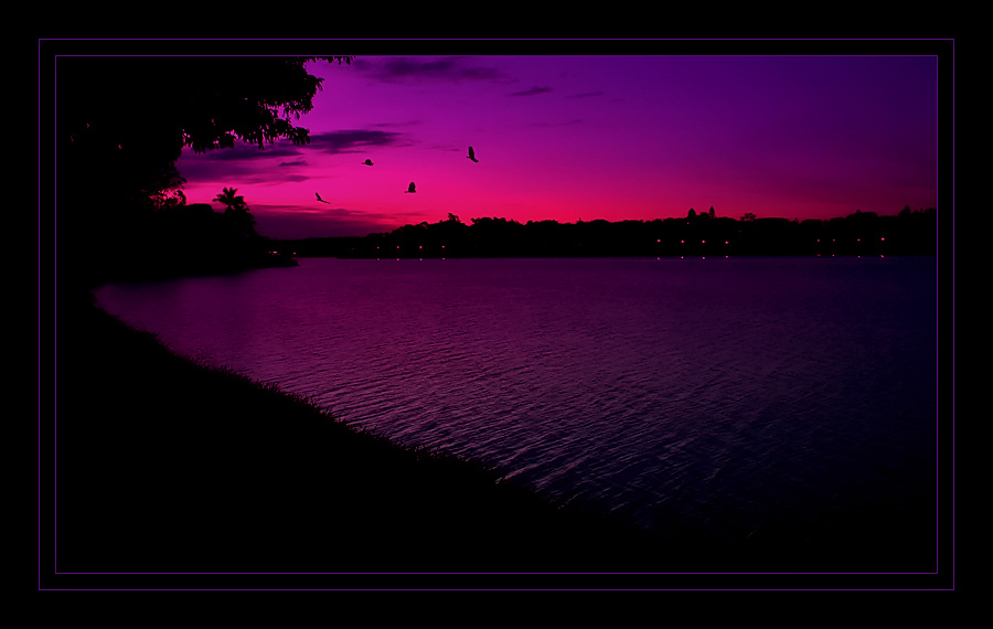 time to go home (Brazil) Brazil Бразилия birds птицы reflexions отражения lake озеро sunset заход солнца