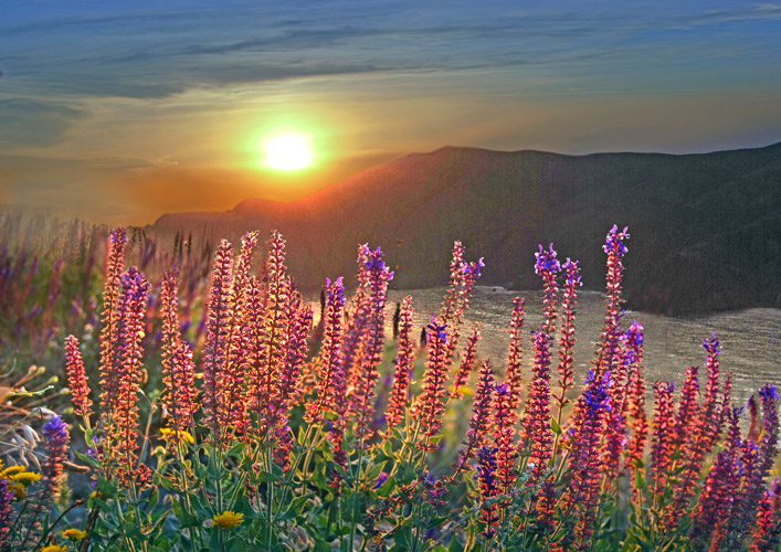 *** цвета, весна,закат, свет, горы, море, природа