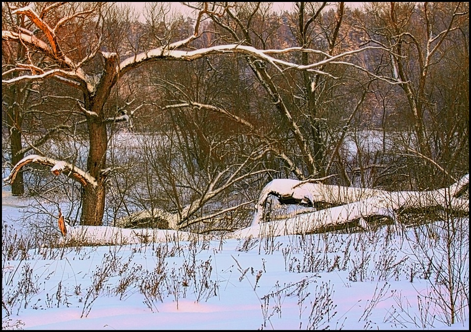 Зарисовочка зимняя,предзакатная. Январь. 19-е число. 2013 год.  