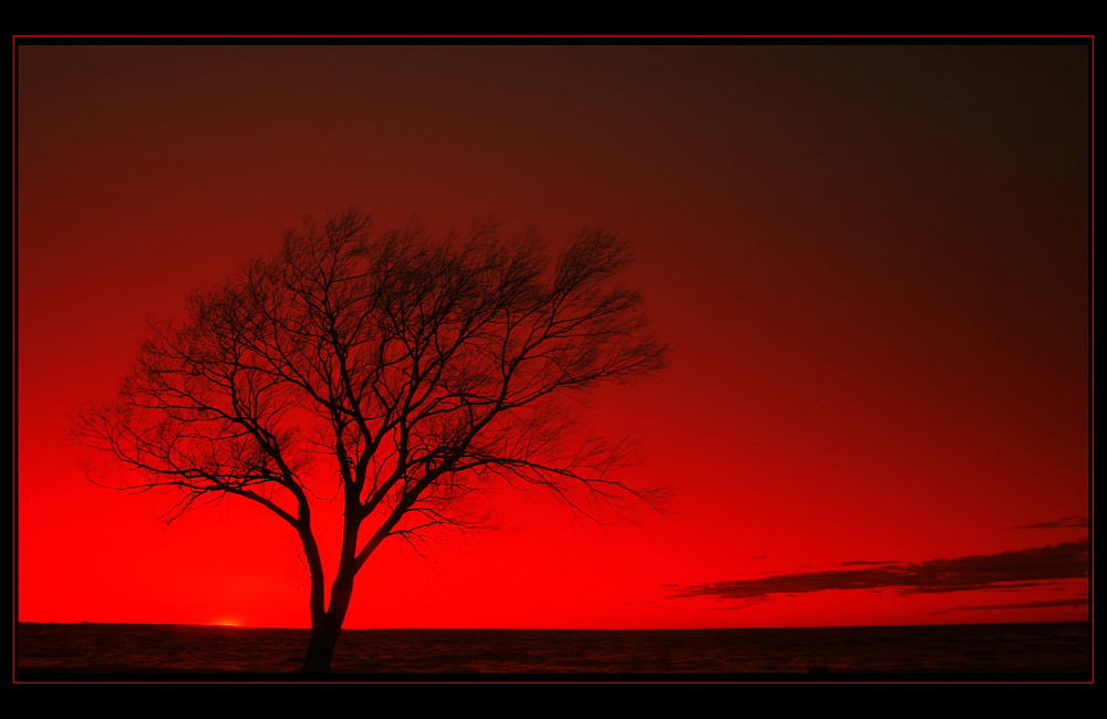 BloodSunSet! 