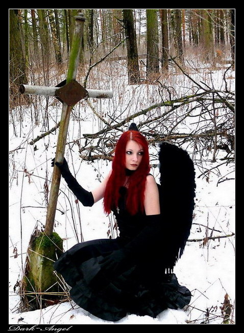 dark~angel dark~angel,крылья,крест,готика,Тверь