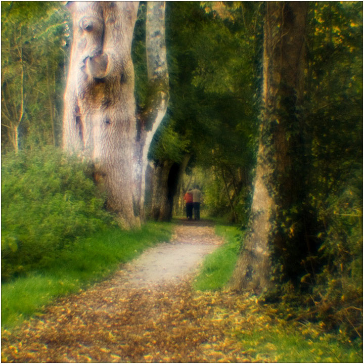 Lough Gur in autumn Ирландия