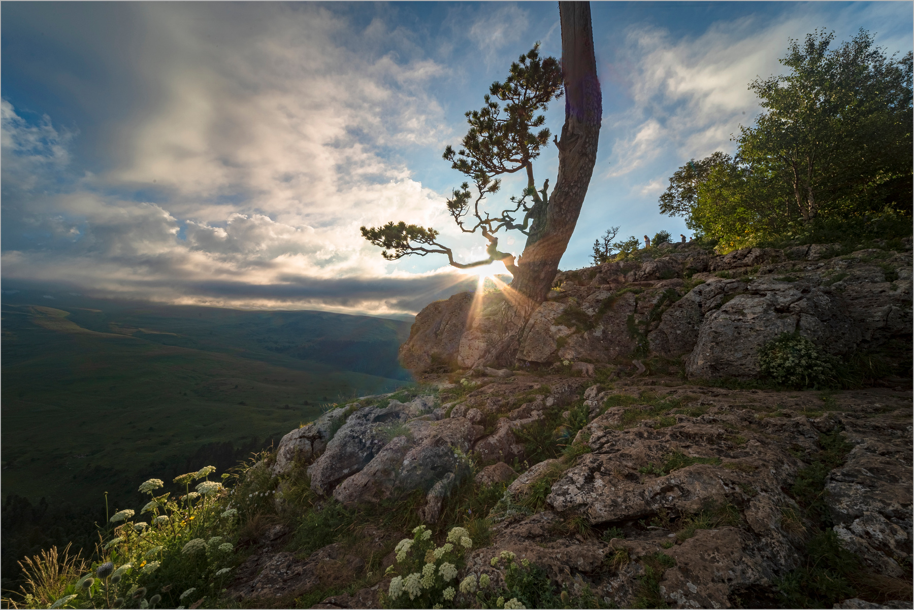 Вечер в горах природа горы