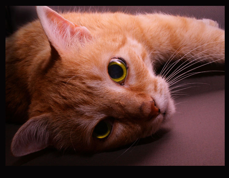 Look at my eyes...it\'s beatiful... 