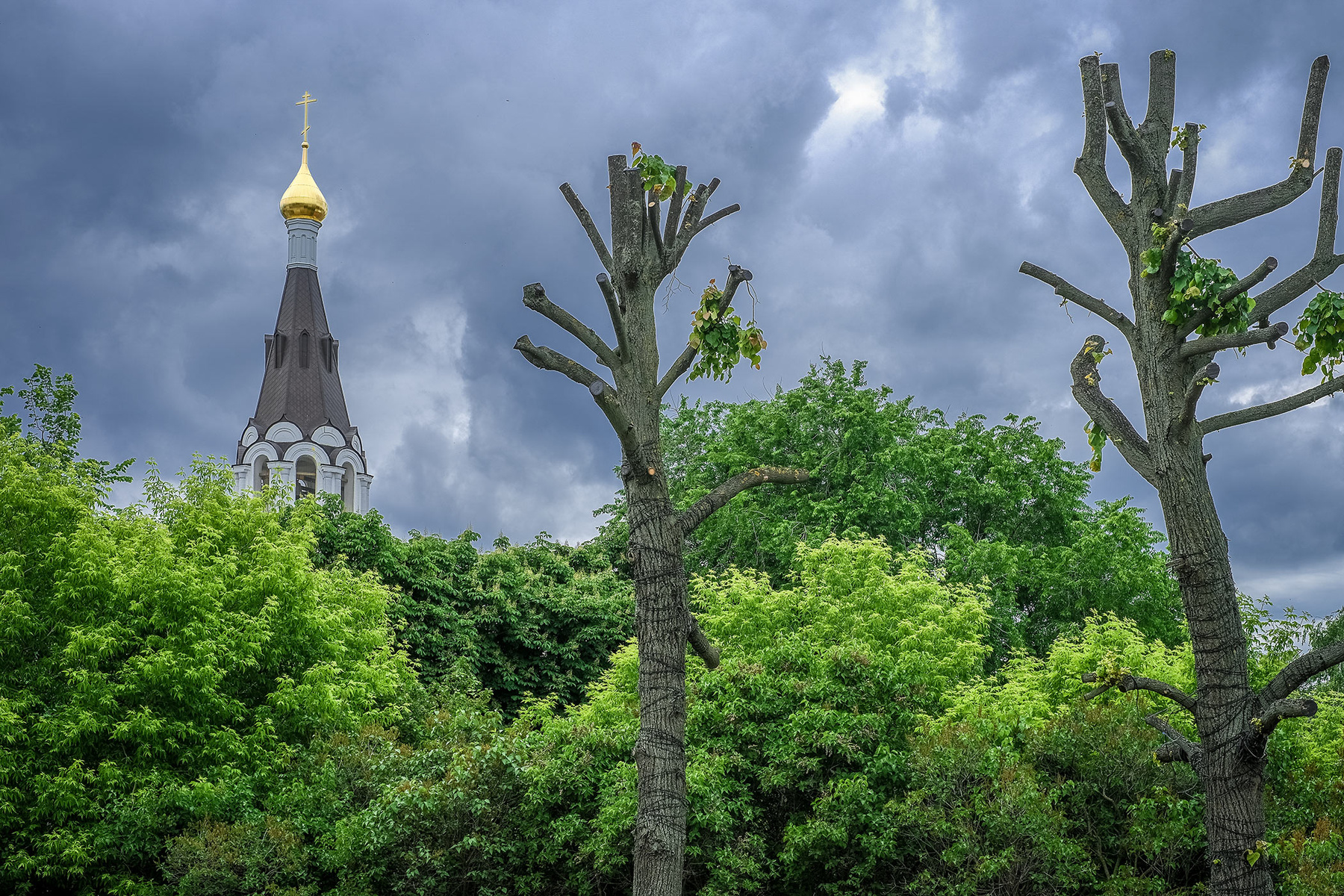 *** лето город монастырь дерево