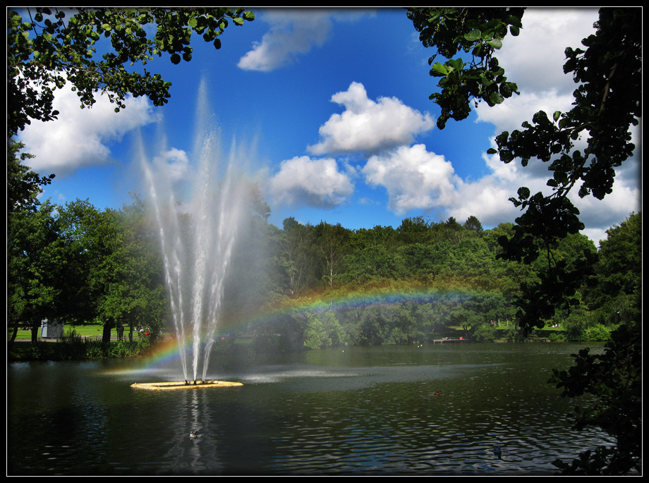 - Catch the Rainbow - Rainbow