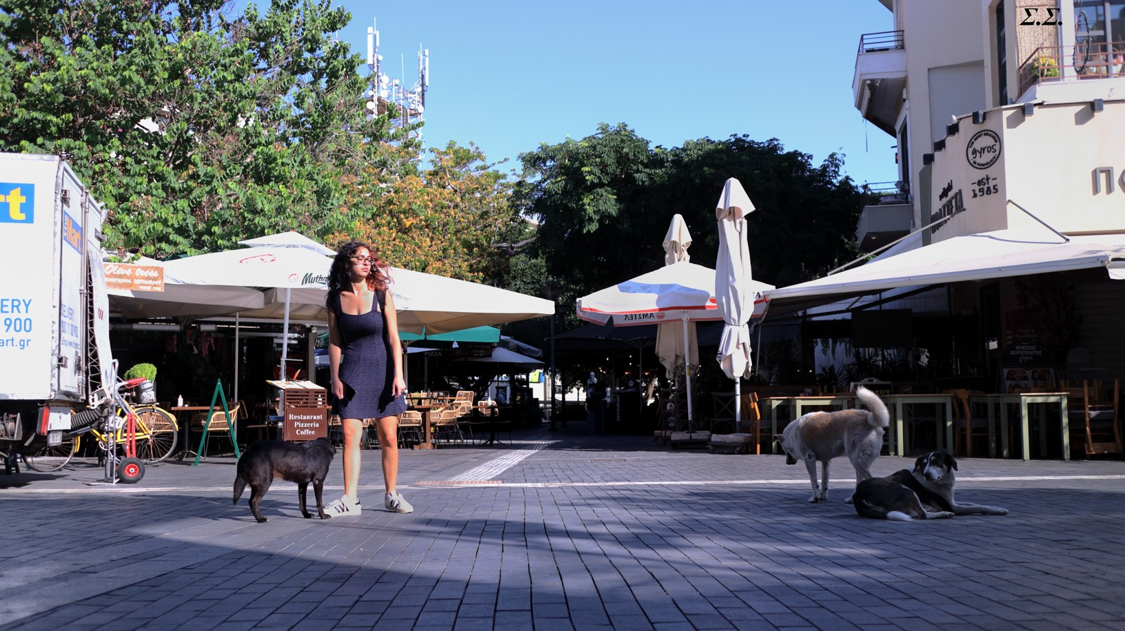 MISS AND SLUMDOGS (slumdogs are the holly cows of Greece) 