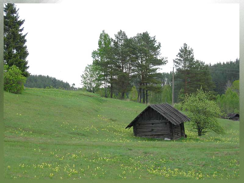 Хмурая баинка (серия Псковские сезоны-2006) баинка деревня