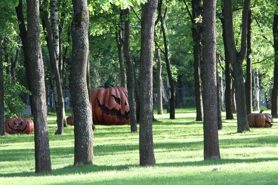 сказки леса 