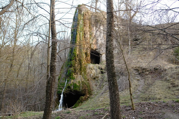 лесное чудовище 