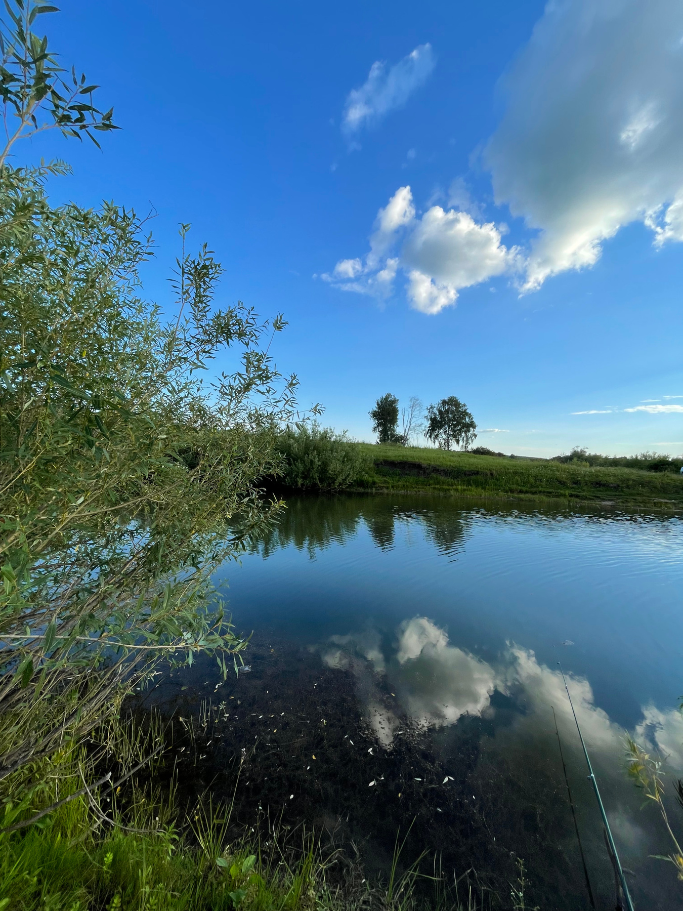 На водной глади небеса 