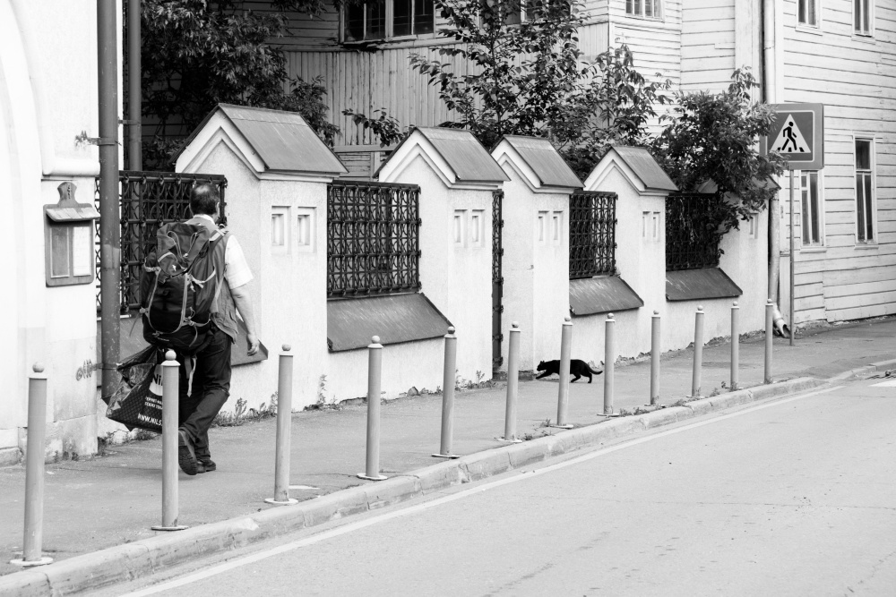 Плохая примета Россия улица люди стрит фото фотограф город дорога суеверия кот черный 13 решающий момент пешеход мужчина кошка черная архитектура чертовщина