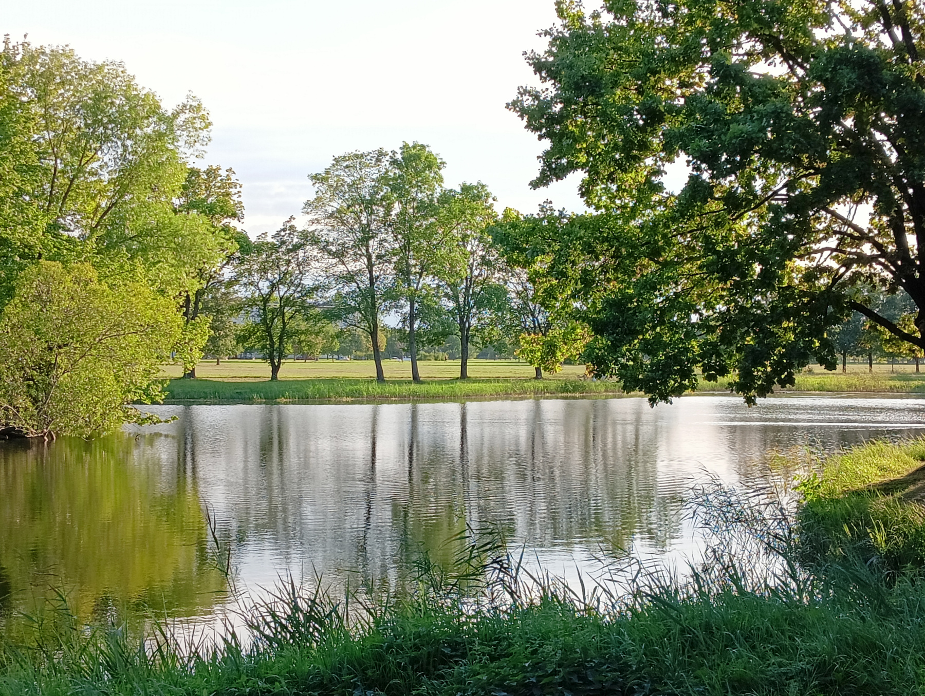 В парке 