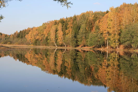 Зеркало природы лес озеро осень