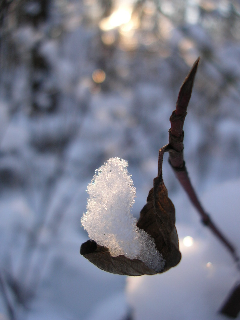 совсем не тяжело) снег лист