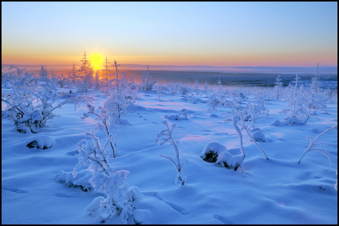 Рассвет на Севере 